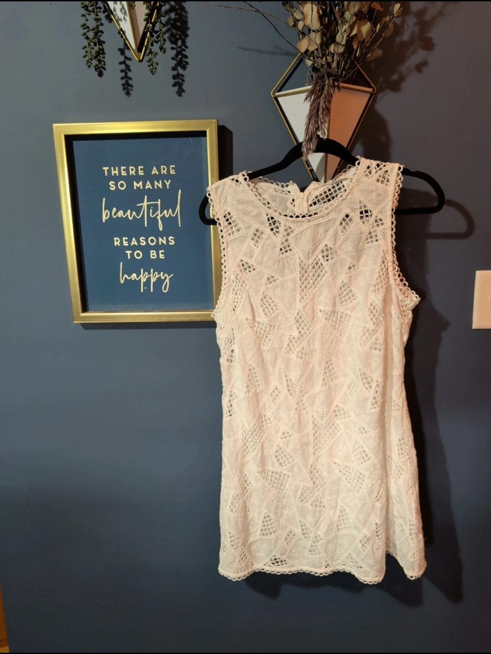 Astr Sleeveless Cream Lace Shift Dress